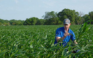 Does Your Nutrient Management Plan Include Sulfur?